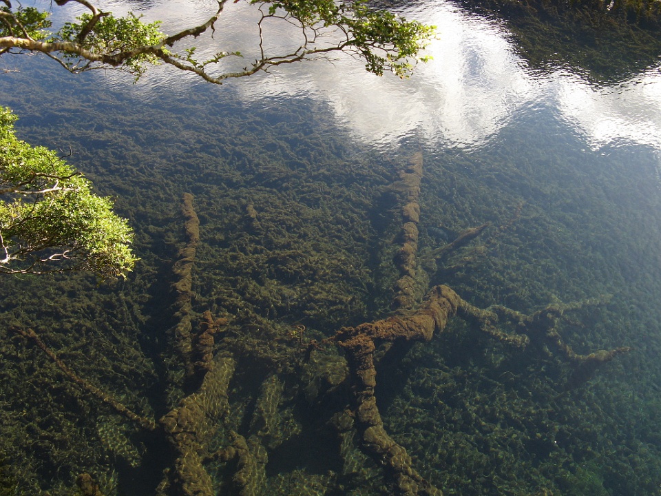 Detail of the Mirror Lakes Clarity